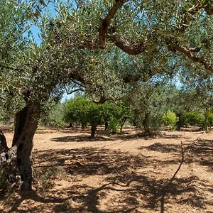 Casa vacanze In Campagna A, Sciacca